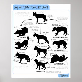 Poster Langue du corps 16x20