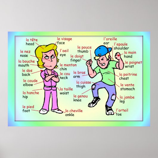 Poster Langues modernes, Français, Parties du corps (Devant)