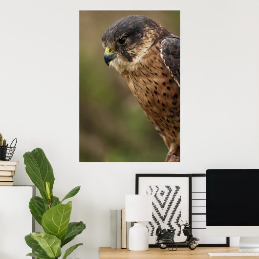 Poster Lanner Falcon 2 (Bureau à domicile)