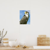Poster Lanner Falcon perché (Cuisine)