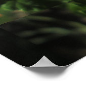Poster Lantana (Coin)