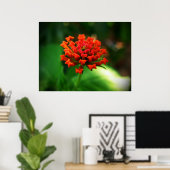 Poster Lantana (Bureau à domicile)