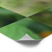 Poster Lantana Garden Flower (Coin)