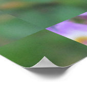 Poster Lantana Plant (Coin)