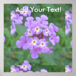 Poster Lantana Plant
