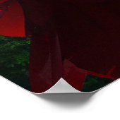 Poster Lanterne festive du Chinatown de Singapour (Coin)