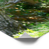 Poster Lanterne japonaise (Coin)