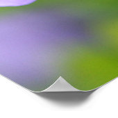 Poster Lao Tzu Quote (Hoek)