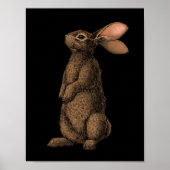 Poster Lapin (Devant)