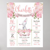 Poster Lapin (Devant)