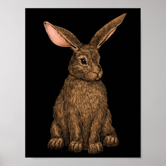 Poster Lapin 3 (Devant)