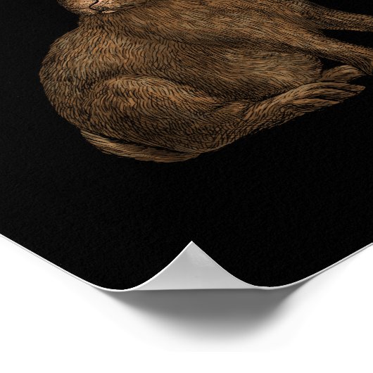 Poster Lapin 4 (Coin)