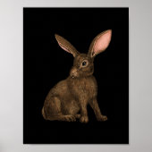 Poster Lapin 4 (Devant)