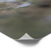 Poster Lapin à queue noire, Lepus californicus, 2 (Coin)