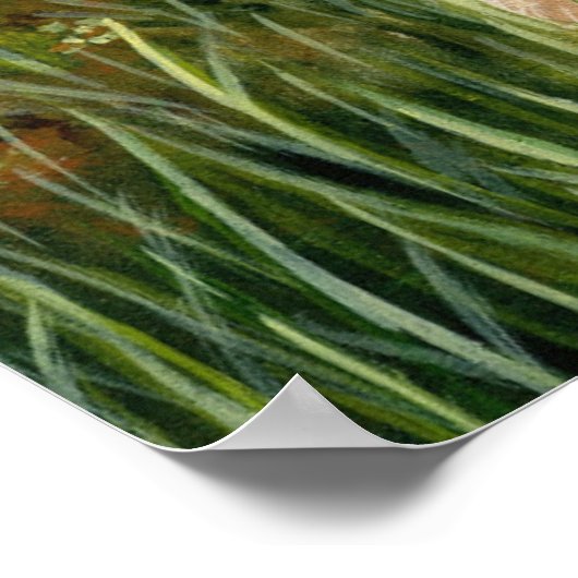 Poster Lapin avec papillon 55 (Coin)