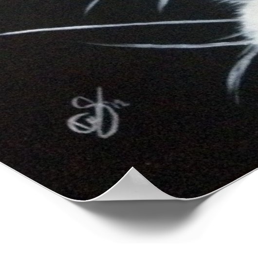 Poster Lapin blanc.jpg (Coin)