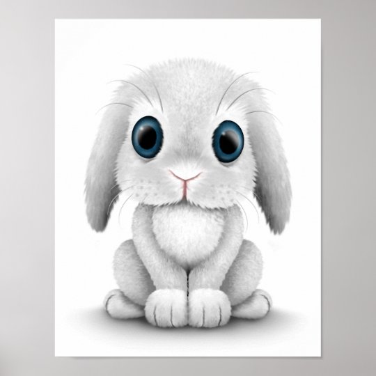 Poster Lapin Blanc Mignon De Bebe Zazzle Be