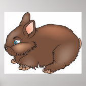 Poster Lapin Brown (Devant)