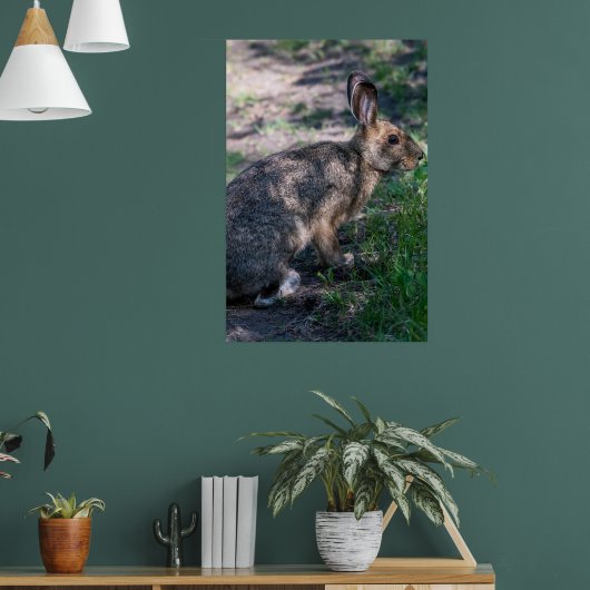 Poster Lapin Brown, Repos dans la nature (Salon 1)
