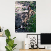 Poster Lapin Brown, Repos dans la nature (Bureau à domicile)