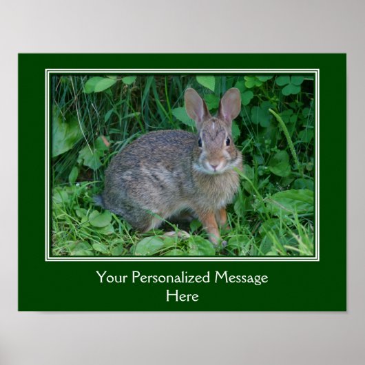 Poster Lapin Brown sauvage Personnalisé (Devant)