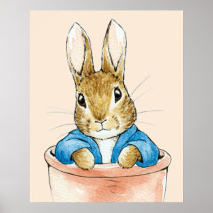 Poster Lapin classique