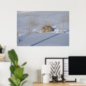 Poster Lapin Cottontail R5 dans la neige (Bureau à domicile)
