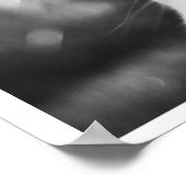 Poster lapin curieux (Coin)