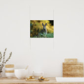 Poster Lapin dans l'herbe (Cuisine)