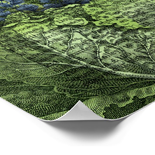 Poster Lapin dans une patte de chou (Coin)