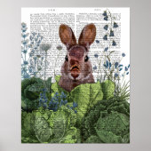 Poster Lapin dans une patte de chou (Devant)
