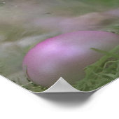 Poster Lapin de Pâques (Coin)