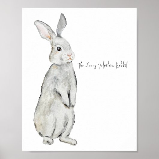 Poster Lapin de velours drôle (Devant)