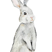 Poster Lapin de velours drôle