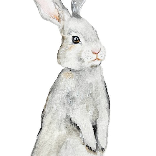 Poster Lapin de velours drôle