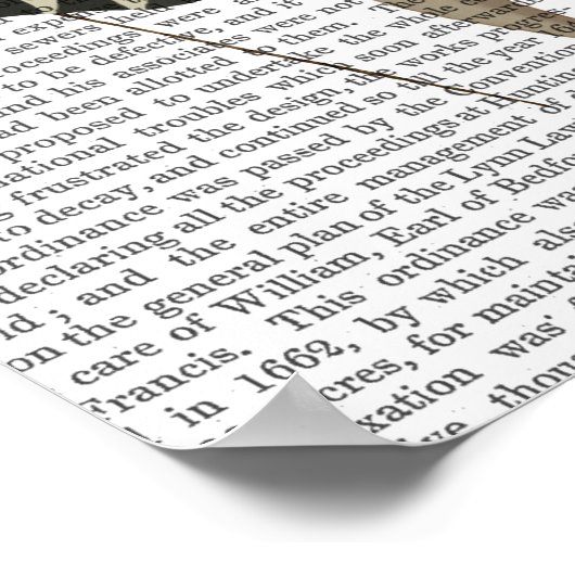 Poster Lapin en robe blanche noire (Coin)