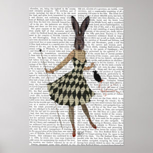 Poster Lapin en robe blanche noire