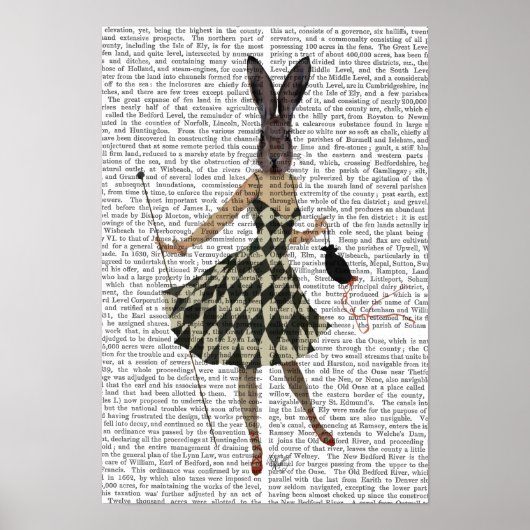 Poster Lapin en robe blanche noire (Devant)