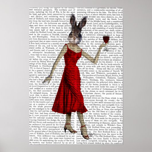 Poster Lapin en robe rouge (Devant)