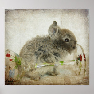 Poster Lapin en tête de lionhead et Verre à vin