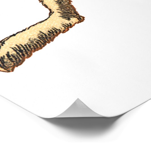 Poster lapin et chat (Coin)