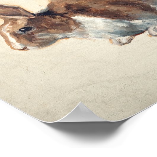 Poster Lapin | Floris Verster (Coin)