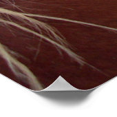 Poster Lapin hollandais à cheval (Coin)