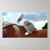 Poster Lapin hollandais à cheval (Devant)