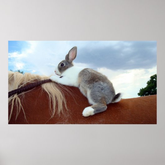 Poster Lapin hollandais à cheval (Devant)