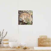 Poster Lapin Lapin (Cuisine)