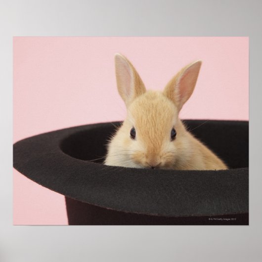 Poster Lapin Magique (Devant)