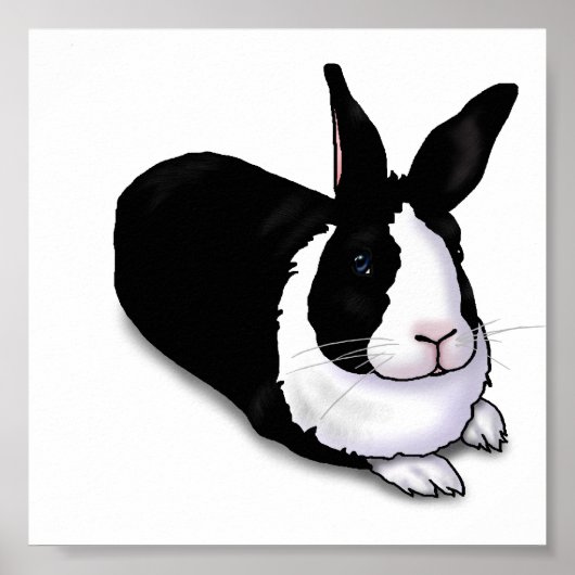 Poster Lapin noir et blanc (Devant)