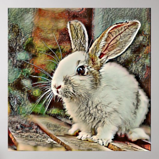 Poster lapin toony (Devant)