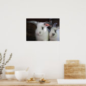 Poster Lapins (Cuisine)